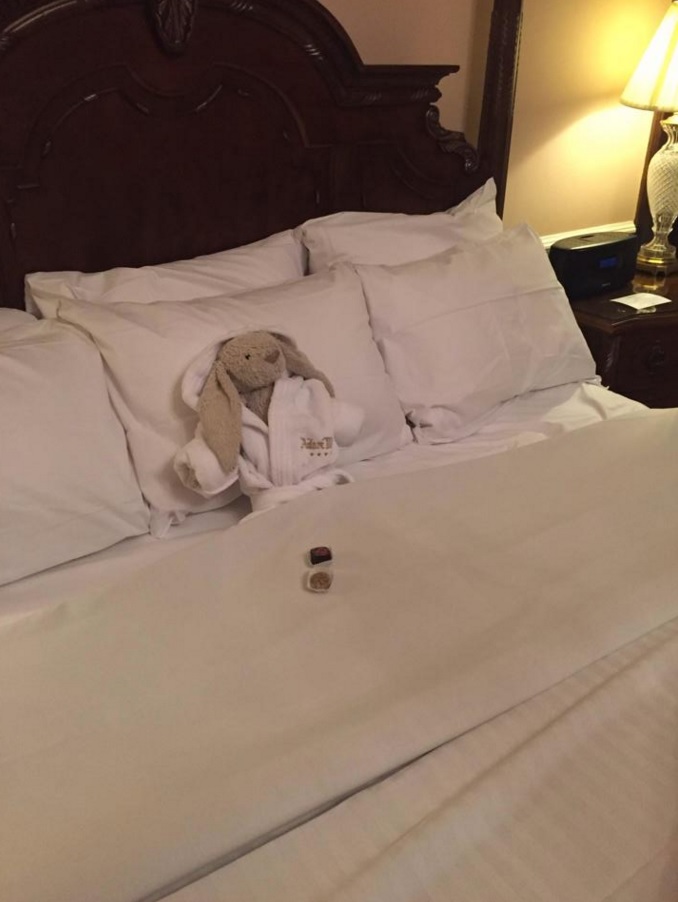 Lapin perdu &agrave; l'h&ocirc;tel